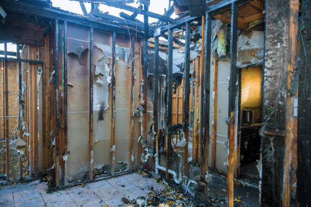 Professional Fire Damage Removal technician working in Bellevue, IA